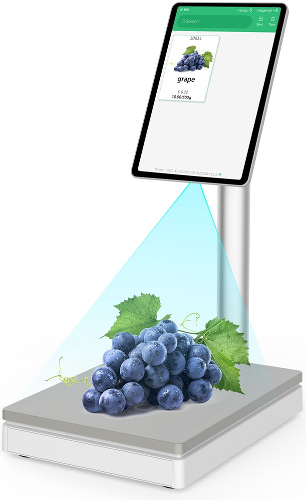 RS666 AI Checkout Scale