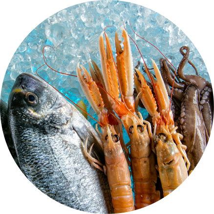 Aquatic Products