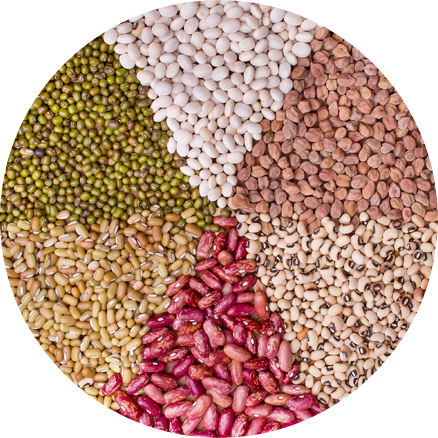 Grains